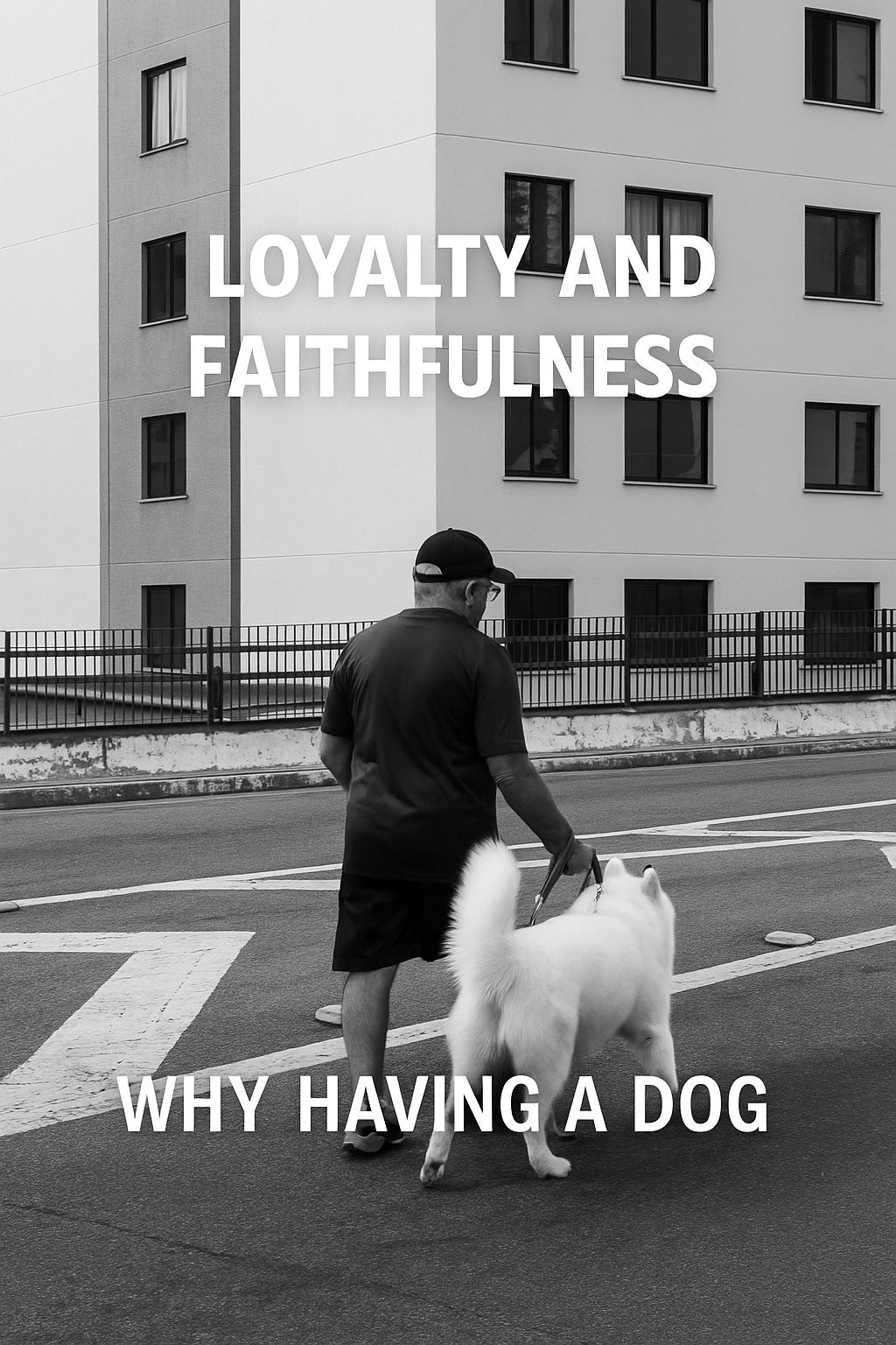 Why Having a Dog