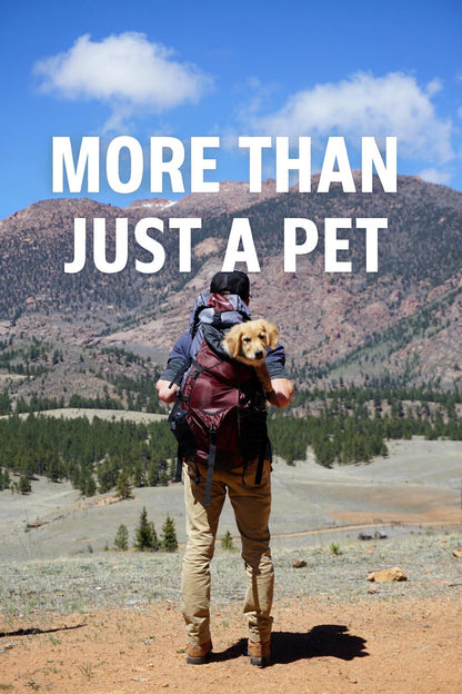 Why Having a Dog